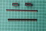 4346Kiefer_28_08_2014.jpg