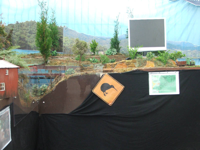 DSCF8560