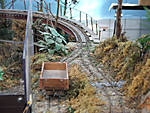 567DSCF8534.JPG