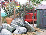 567DSCF8542.JPG