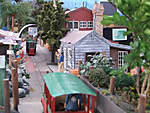 567DSCF8547.JPG