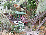 567DSCF8552.JPG
