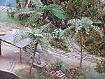 567DSCF8557.JPG