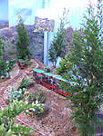 567DSCF8567.JPG