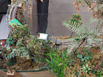 567DSCF8569.JPG