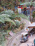 567DSCF8579.JPG