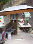 567DSCF8582.JPG