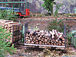 567DSCF8587.JPG