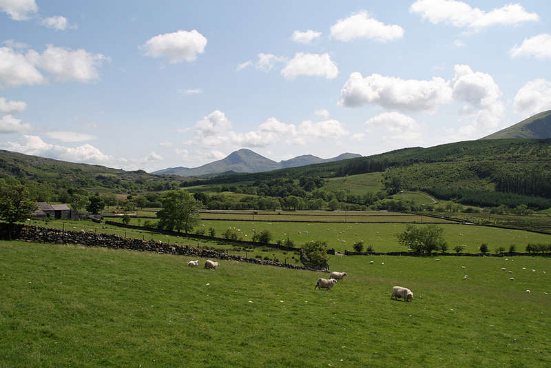 Wales 040