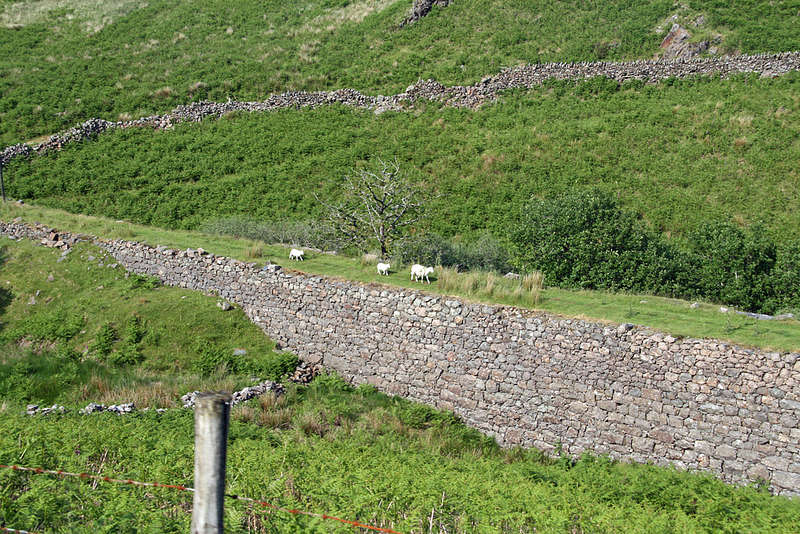Wales 063