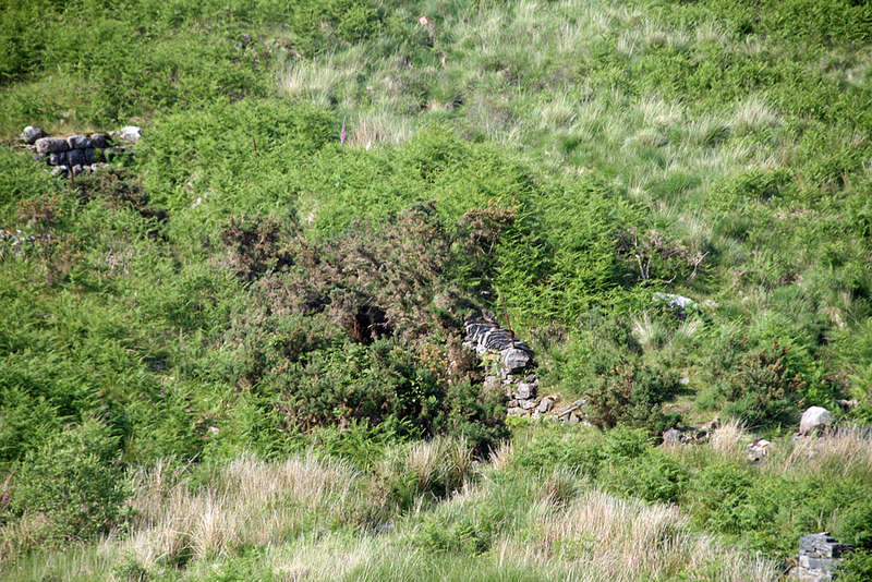 Wales 064