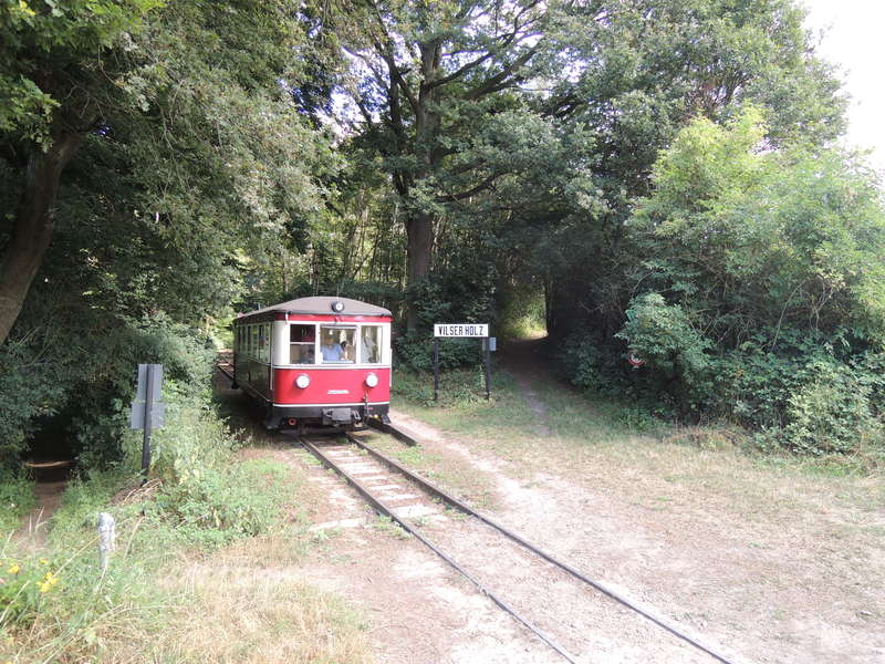 T42 Vilser Holz auf Bergfahrt