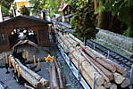 14IMG_0428.JPG
