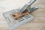 5715IMG_8972b.JPG