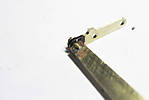 5715IMG_9424b.jpg