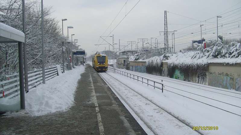 Schnee 2010