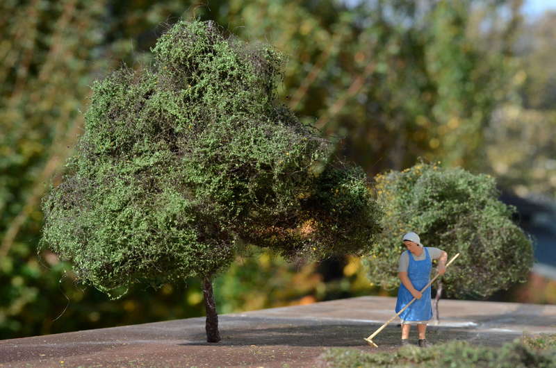 Baum_5