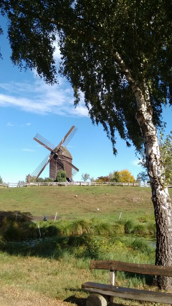 Gifhorn_1
