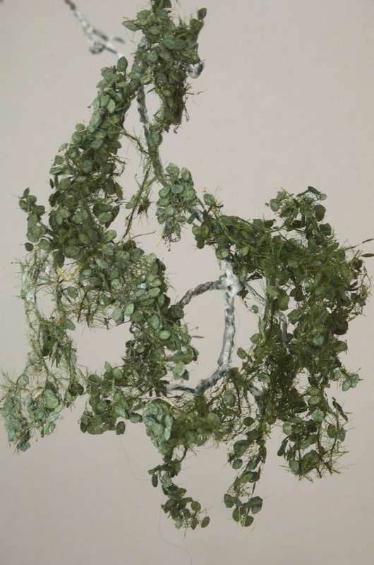 Vegetation_004