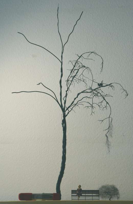Vegetation_005