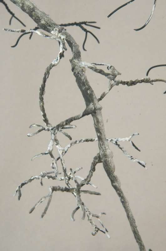 Vegetation_010