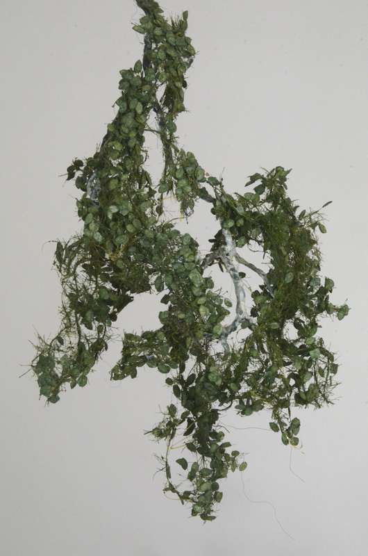 Vegetation_011
