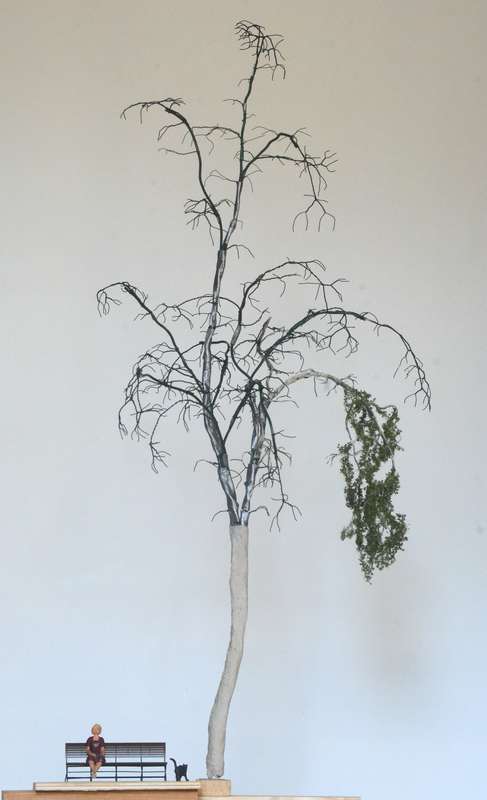 Vegetation_014