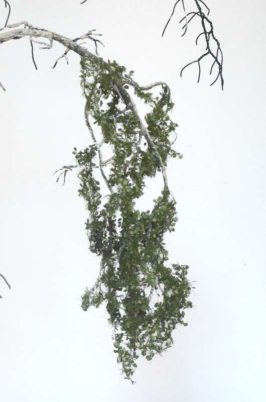 Vegetation_015