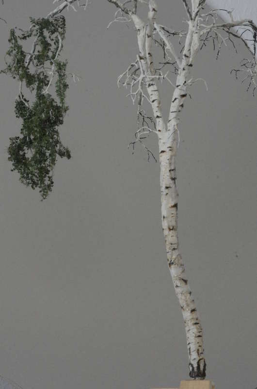 Vegetation_019