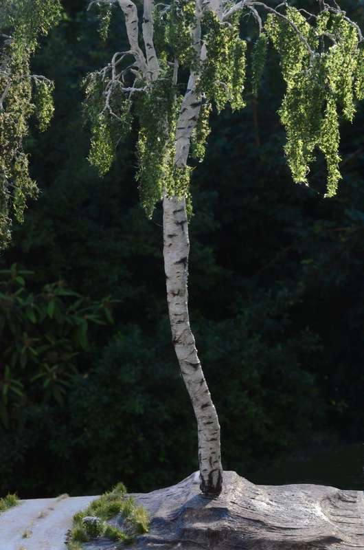 Vegetation_022