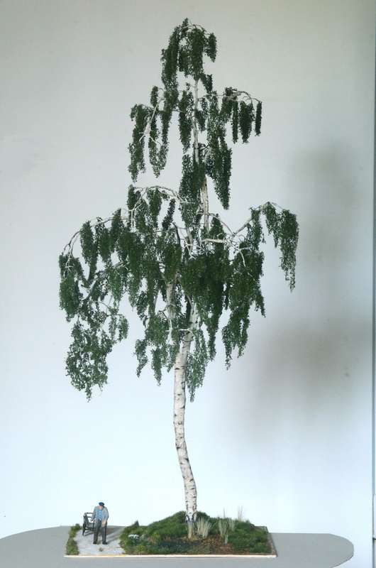 Vegetation_1_009