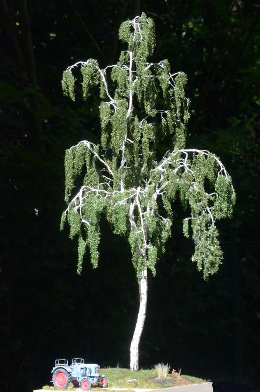 Vegetation_3_007