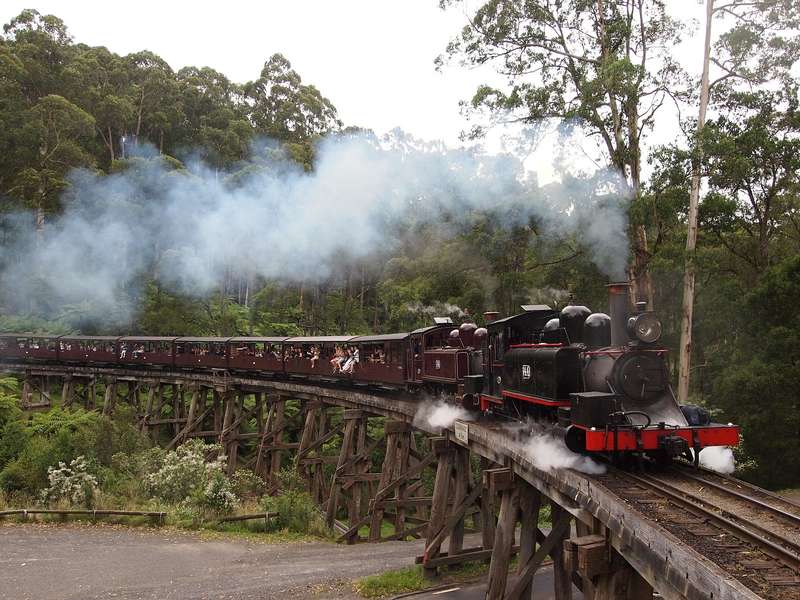 Monbulk-Creek-Trestle 2