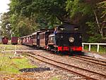 4651P1014859_Large_.JPG