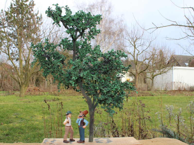 01Baum
