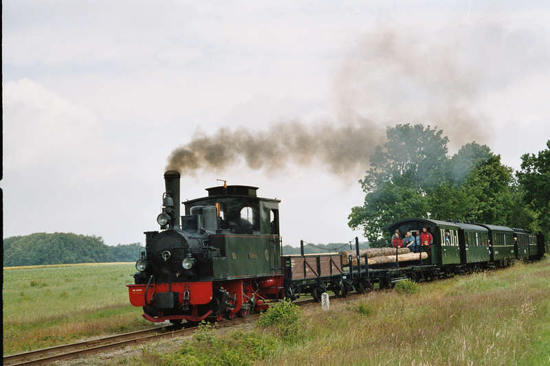 Hermann_Vilser_Heide