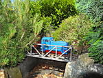 4179DSC01410.JPG