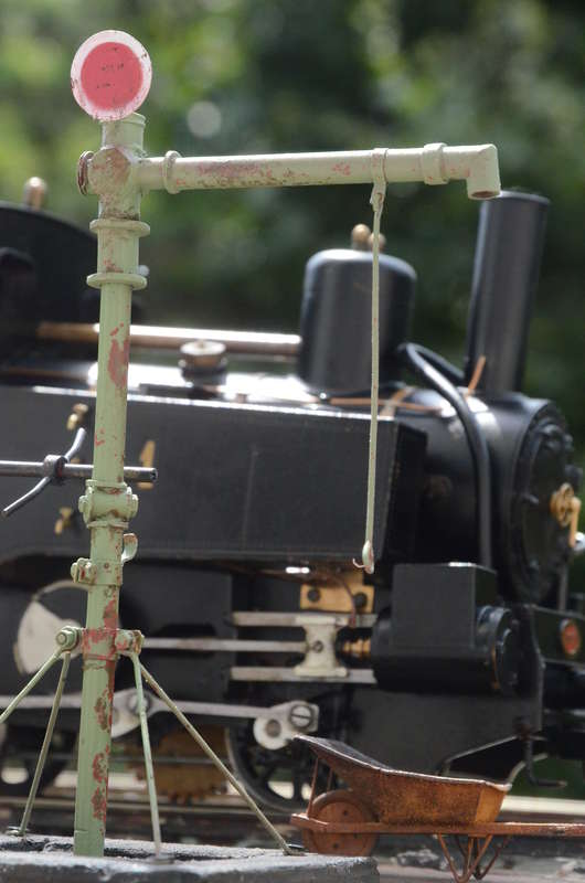 DSC_5000