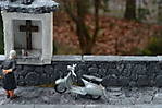 3971DSC_6733.jpg