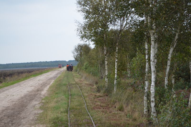 Weg zum Aussichtsturm