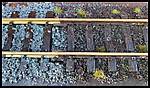 3495IMG_5038.jpg