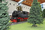 35578.JPG