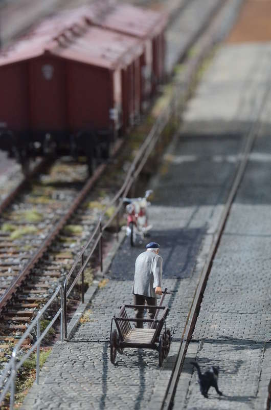 DSC_1852