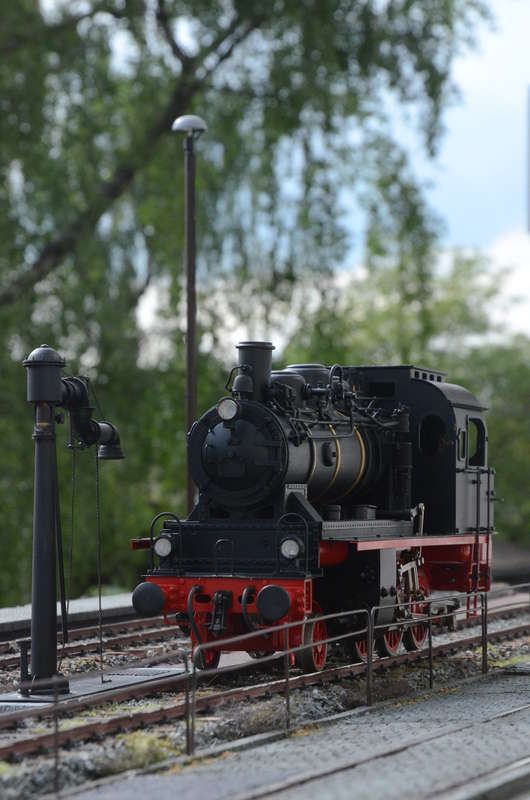 DSC_2374