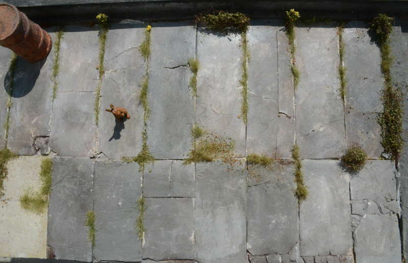 Gartenmodule_2_192