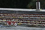 3971G_114.JPG