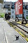 3971G_132.jpg