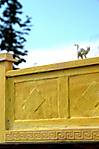 3971Gartenmodule_2_162.JPG