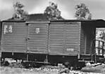 1116she156098.jpg
