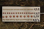 1116SHE57313.JPG